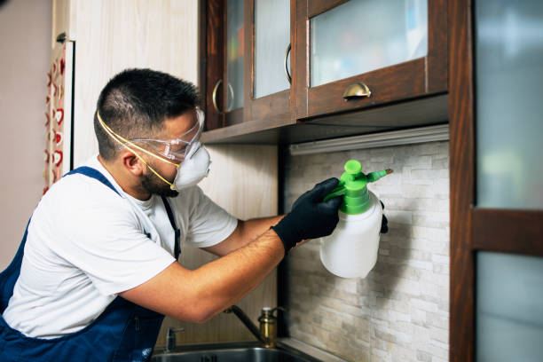 Best Pest Removal Services  in Summit, MS