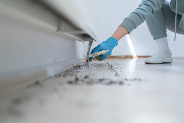 Summit, MS Pest Control Company